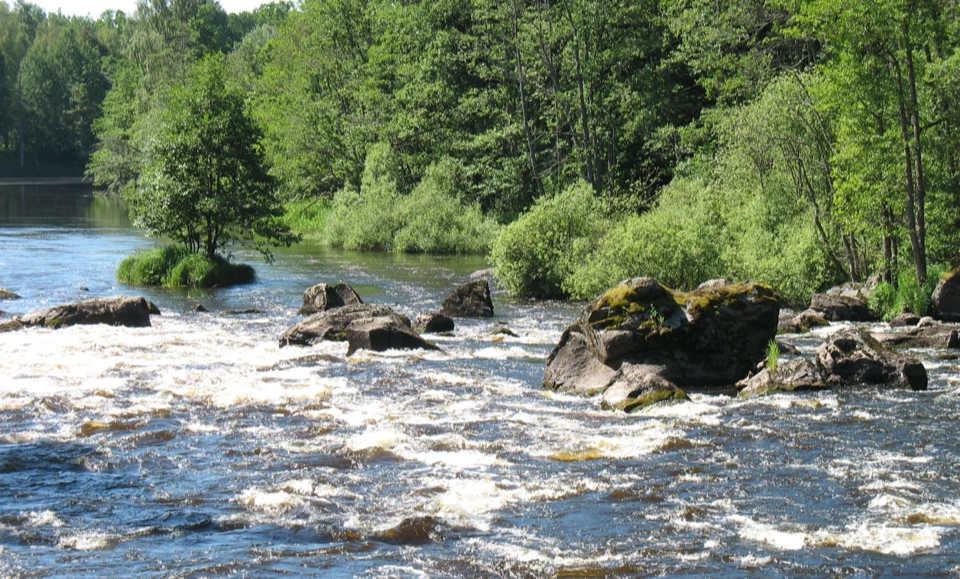 Schweden 2010 - Bild 0410