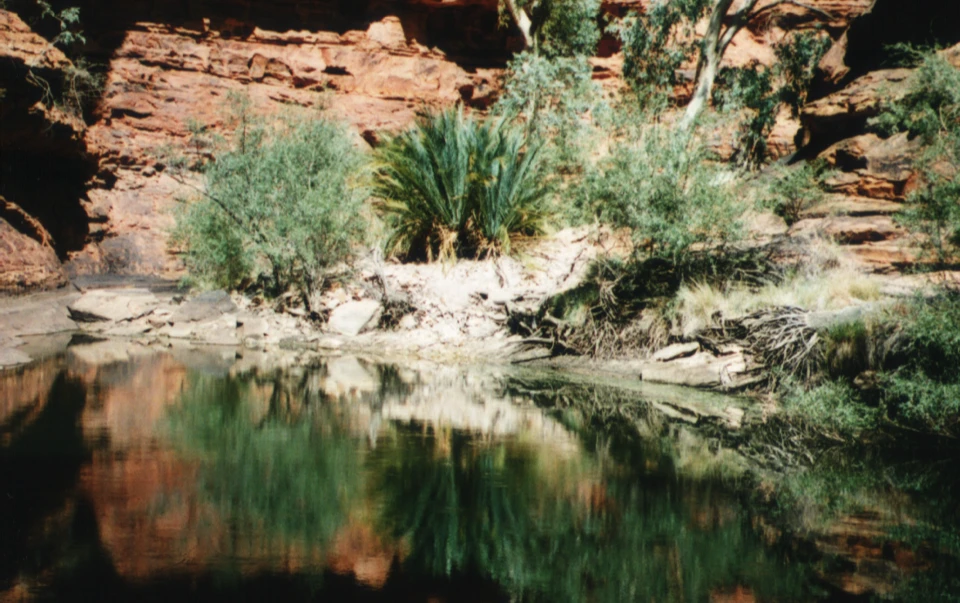 Australien 1998 - 52-kings-canyon-oase