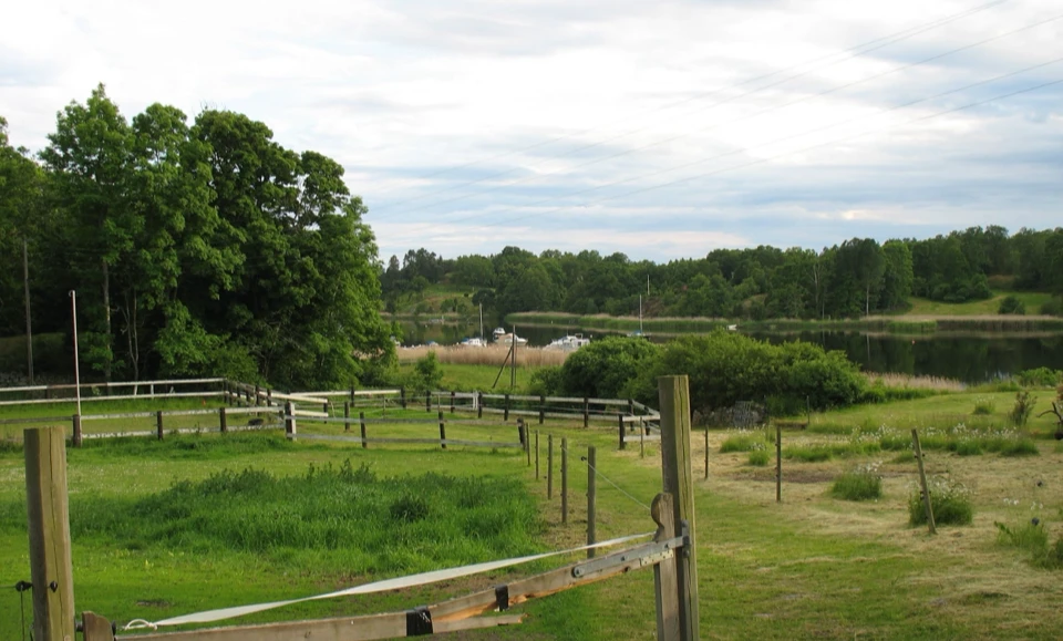 Schweden 2010 - Bild 0363