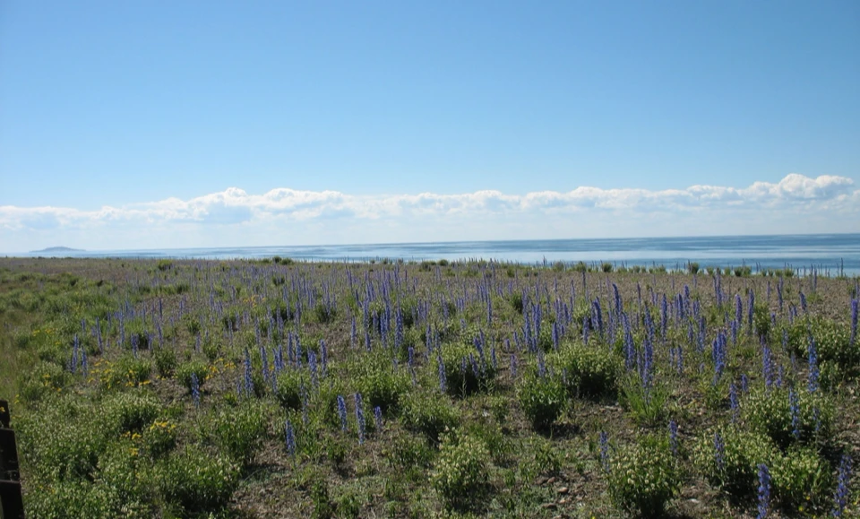 Schweden 2010 - Bild 0398