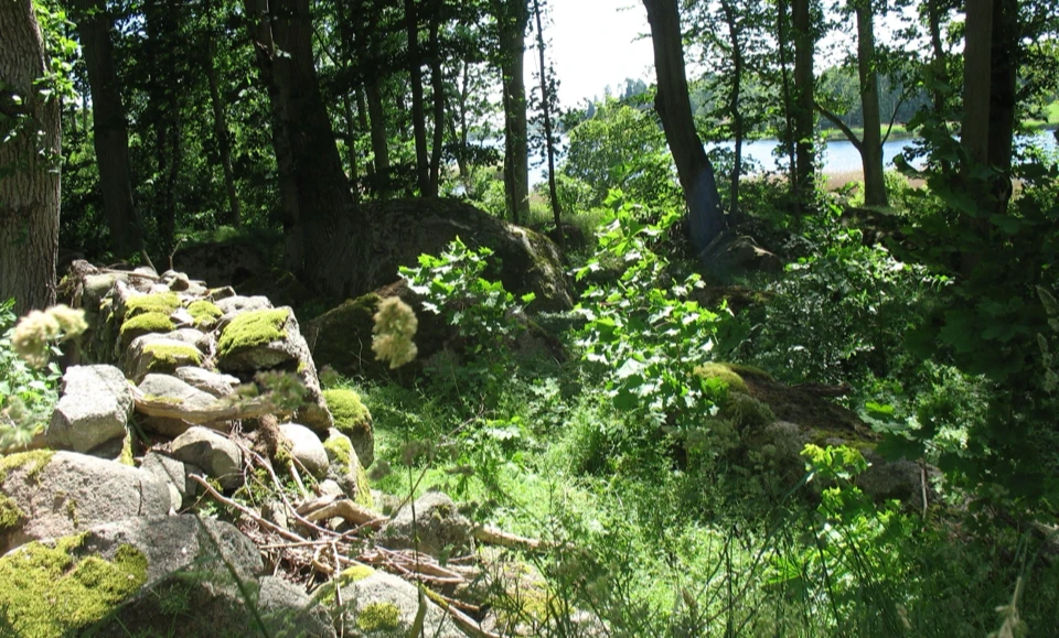 Schweden 2010 - Bild 0489