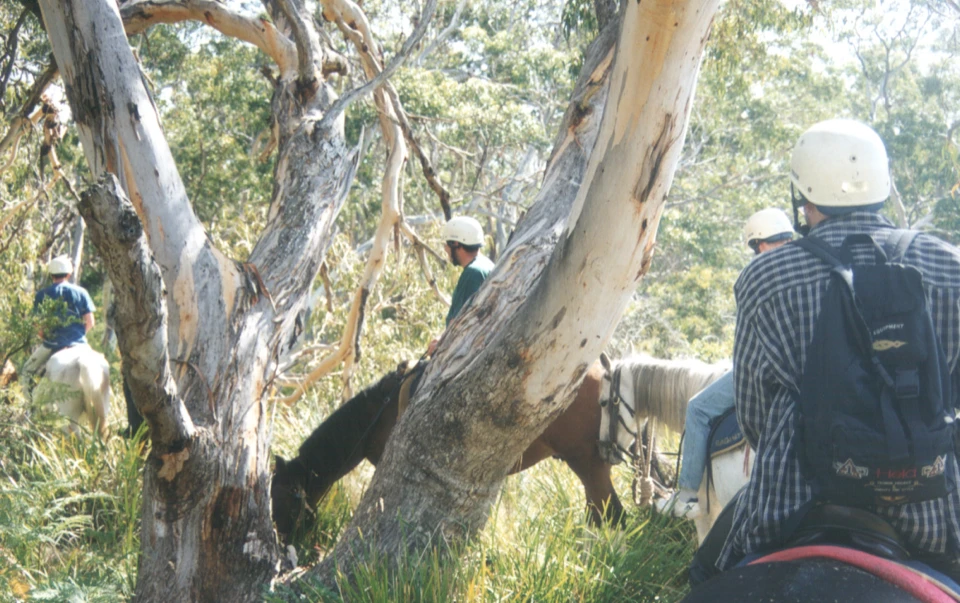 Australien 1998 - 10-reiten