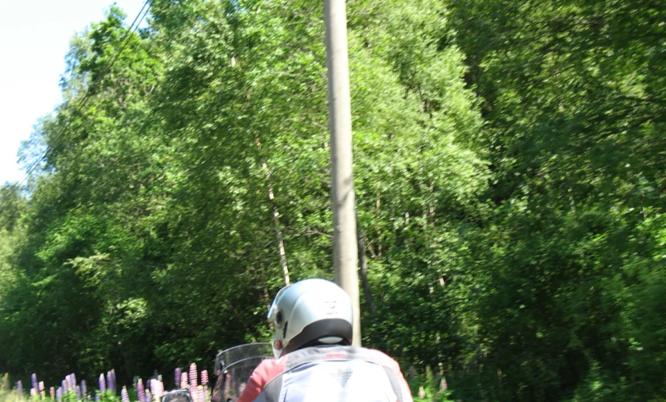 Schweden 2010 - Bild 0482