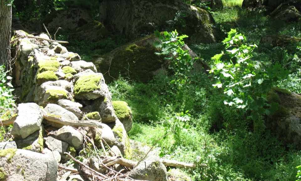 Schweden 2010 - Bild 0490