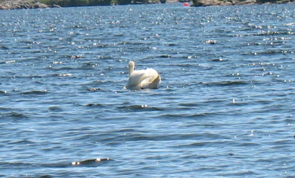Schweden 2010 - Bild 0488