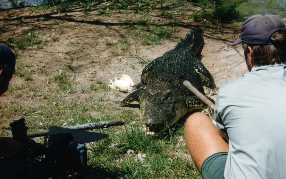 Australien 1998 - 86-darwin-crokodile