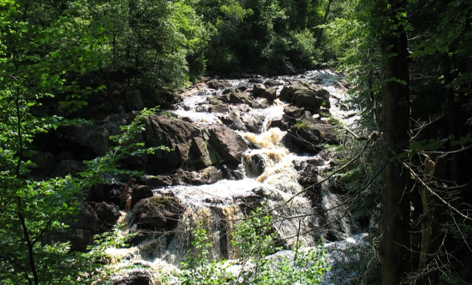 Schweden 2010 - Bild 0475