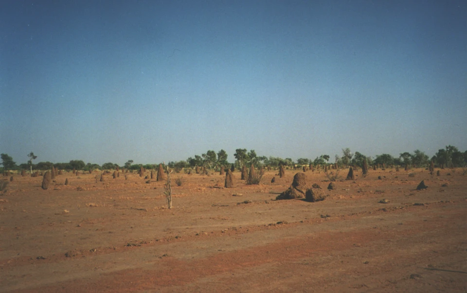 Australien 1998 - 55-termitenlandschaft