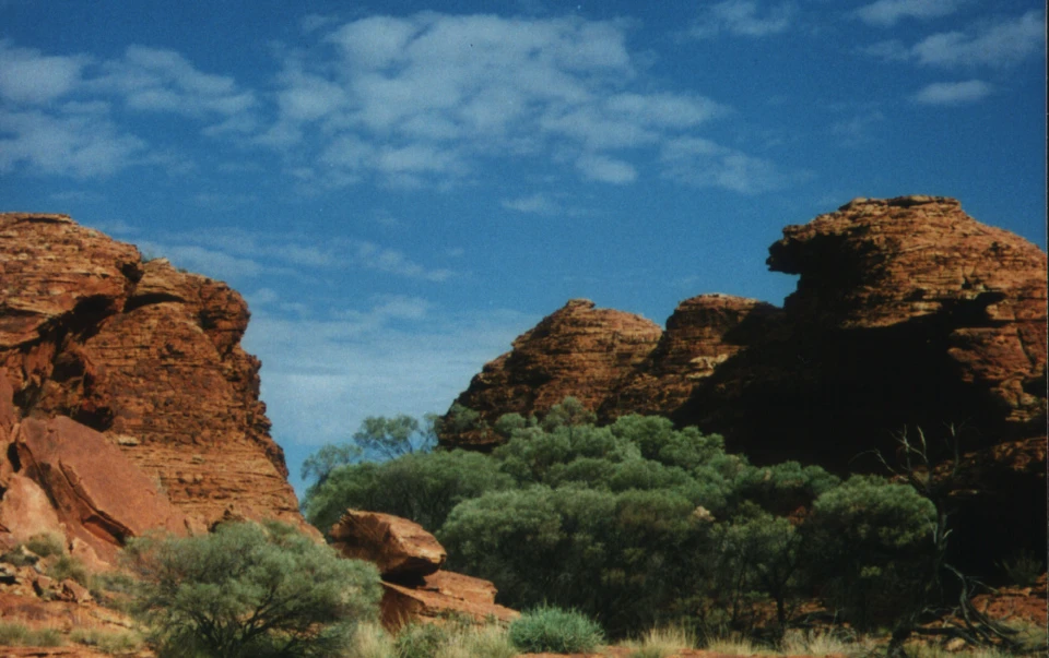 Australien 1998 - 54-kings-canyon