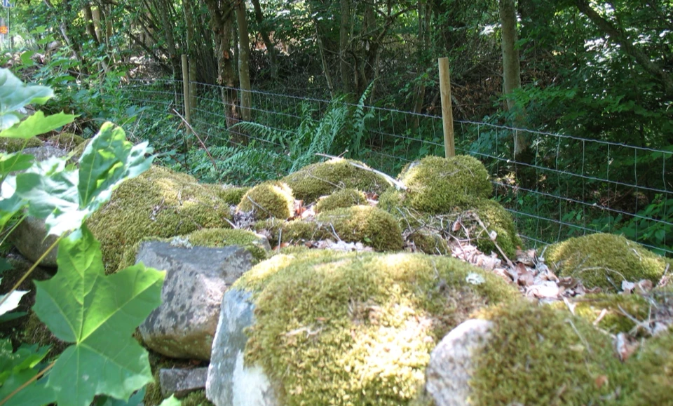 Schweden 2010 - Bild 0491