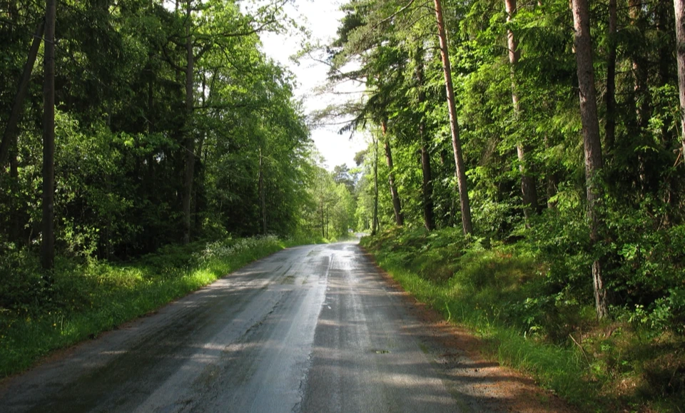 Schweden 2010 - Bild 0354
