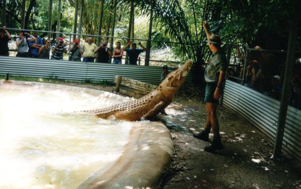 Australien 1998 - 89-darwin-crokodile