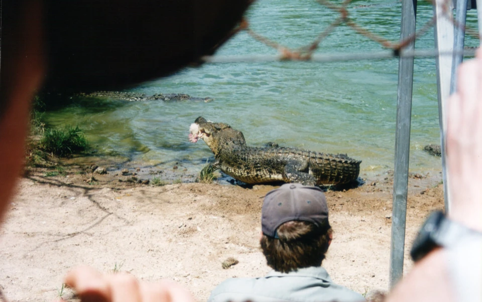 Australien 1998 - 88-darwin-crokodile